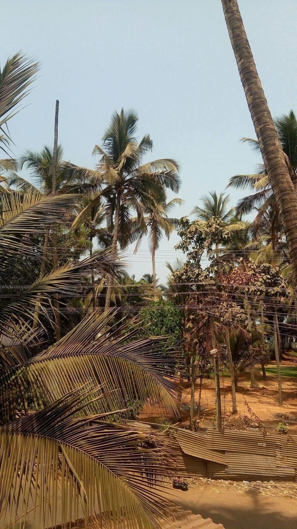 Hotel Shiva Ashvem Ashvem Beach Extérieur photo